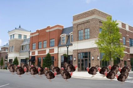 shopping-turkeys