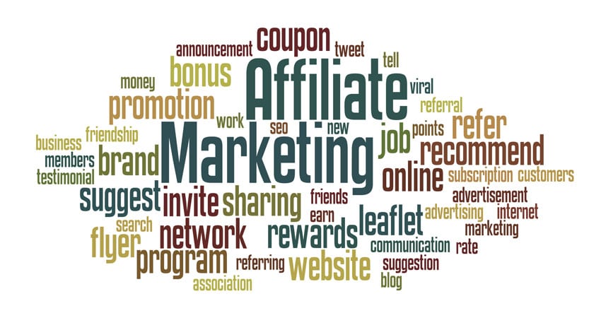 Affiliate Marketing Business Plan of Top Affiliate [+Free PDF Download]