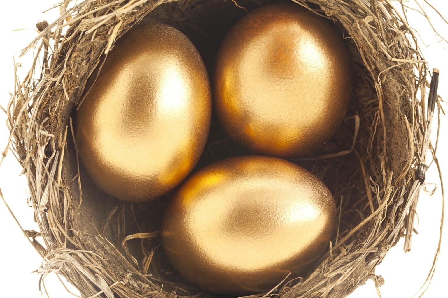 How Businesses Can Lay Golden Eggs: A Guide to Success - Multichannel ...