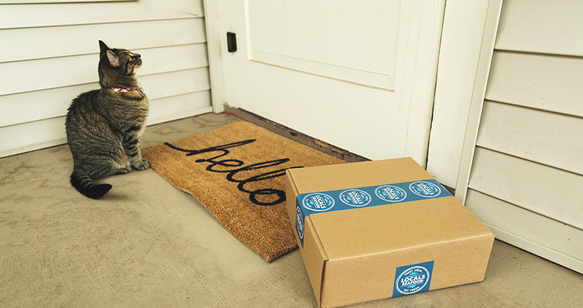 package delivery cat on porch feature