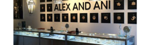 Alex and Ani store hero